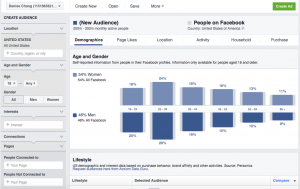 blog_-Audience_Insights_Tool